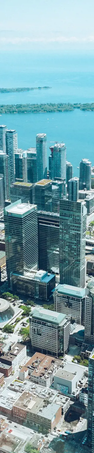 Fühl dich wie ein Vogel am Edge-Wald des CN Towers